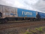 RUMO HPT-031187-1